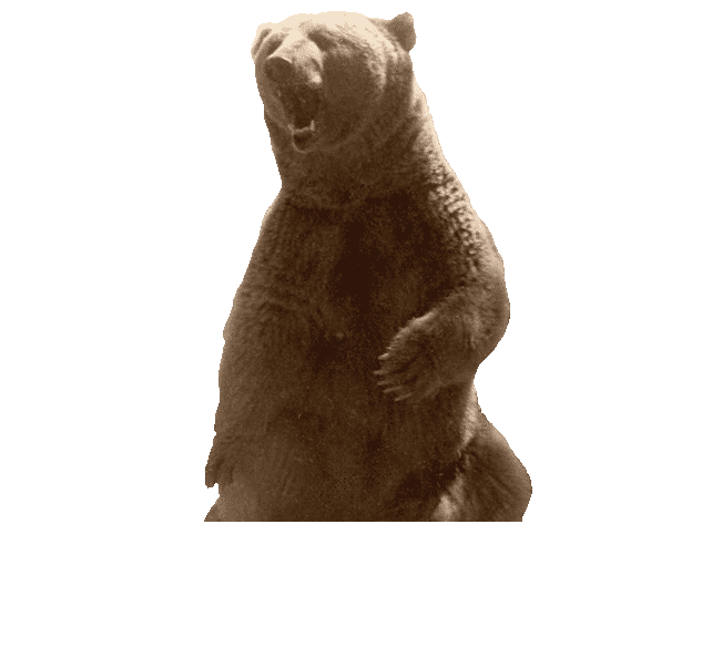 Click here for Wojtek Album